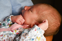 A New Baby for Mr Chitty A New Baby for Mr Chitty