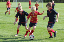 House Matches Report House Matches Report