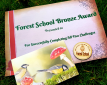 Forest School Award Forest School Award