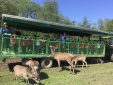 Reception Trip to Bucklebury Farm