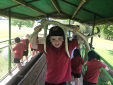 Wildcats Trip Wildcats Trip