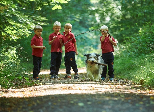 Image representing the Pre-Prep curriculum at Moulsford School, featuring young students exploring and learning in a forest environment, fostering their connection with nature and providing hands-on outdoor experiences.
