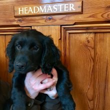 Head's Blog: Go Go Go Joseph Head's Blog: Go Go Go Joseph
