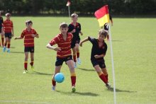 Head's Blog: The Importance of Sport Head's Blog: The Importance of Sport
