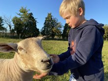 Head's Blog: Creativity and resilience Head's Blog: Creativity and resilience