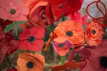 Head's Blog: Remembrance Commemorations Head's Blog: Remembrance Commemorations
