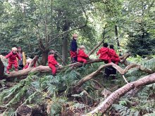 Reception Parents Visit Forest School