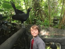 Year 5 Trip to The Living Rainforest Year 5 Trip to The Living Rainforest