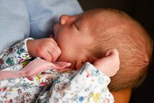 A New Baby for Mr Chitty A New Baby for Mr Chitty