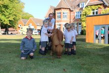 Show and Tell Show and Tell