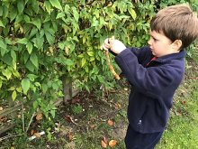 Moulsford Eco Initiatives Moulsford Eco Initiatives