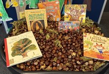 Reflections from the Head of Pre-Prep