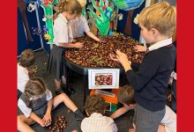 Reflections from the Head of Pre-Prep 10/10/25