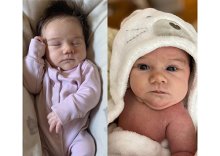 A New Baby A New Baby