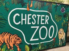 Year 5 Visit Chester Zoo Year 5 Visit Chester Zoo