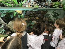 Reception visit The Living Rainforest