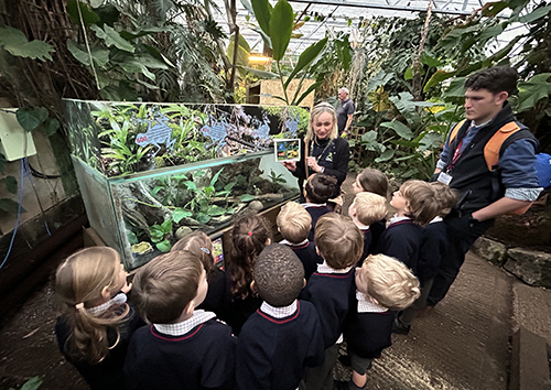 Reception to The Living Rainforest