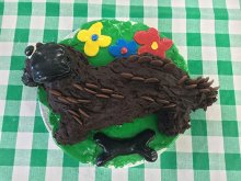 Moulsford Boys’ Cake Off 2018 Moulsford Boys’ Cake Off 2018