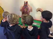 Year 1 Trip to the Look Out Discovery Centre