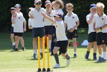 Year 2 and 3 cricket Year 2 and 3 cricket