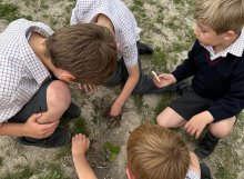 Reflections from the Head of Pre-Prep 13/06/25