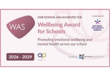 Wellbeing Award for Schools