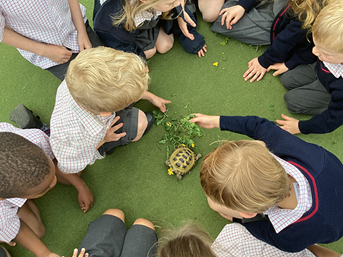 Reflections from the Head of Pre-Prep 08/05/26