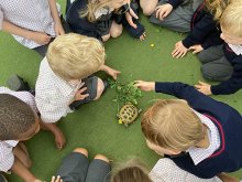 Reflections from the Head of Pre-Prep 08/05/26