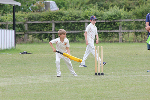 Year 5 Cricket Festival