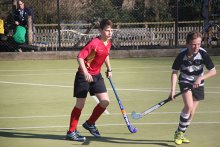 Spring Term Sports Roundup Spring Term Sports Roundup