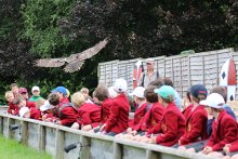 Year 3 Trip to the Hawk Conservancy Year 3 Trip to the Hawk Conservancy