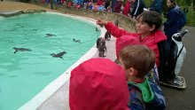 Pre-Prep Trip to Cotswold Wildlife Park Pre-Prep Trip to Cotswold Wildlife Park