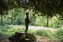 Staff Blog: Mrs Thatcher on Outdoor Learning | News | Moulsford Prep School Staff Blog: Mrs Thatcher on Outdoor Learning | News | Moulsford Prep School