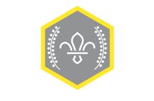 Chief Scouts Silver Award Chief Scouts Silver Award