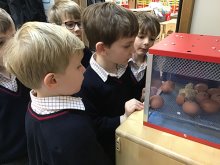 Reception's Living Eggs