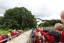Year 3 Trip to the Hawk Conservancy Year 3 Trip to the Hawk Conservancy